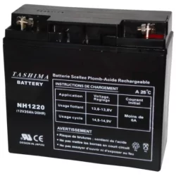 Batterie gel pour tondeuse autoportée - NH1220