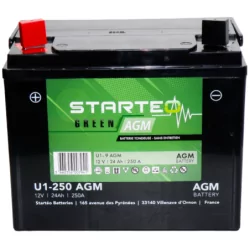 Batterie green batterie tondeuse AGM 12v 24ah 250a - plus à gauche