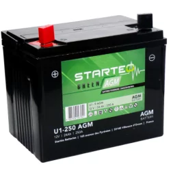 Batterie green batterie tondeuse AGM 12v 24ah 250a - plus à gauche