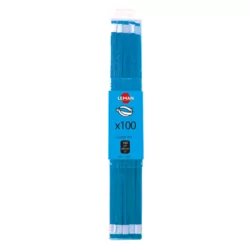 Lame Bi-métal 300x13x0.65 10TPI - étui de 10 lames