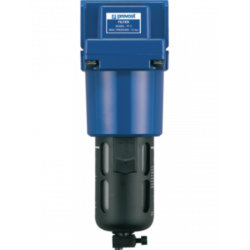 Filtre gaz 3/4 BSP- TF 4