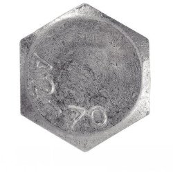 Vis à bois tête hexagonale tirefond inox A2 DIN 571 M10X60 - boîte de 50