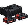 Batterie 2xEXBA 18V 4,0 Ah + 1 GAL 12V/18V-80 ©