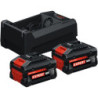 Batterie 2xEXBA 18V 5,5 Ah + 1 GAL 12V/18V-80 ©