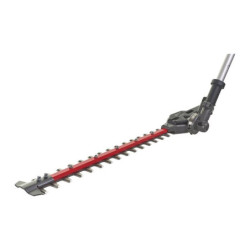Taille haie M18 FOPH-HTA