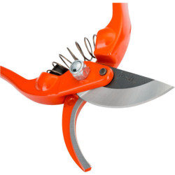 Sécateur professionnel en fer forgé 23 cm