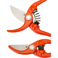 Sécateur professionnel en fer forgé 23 cm