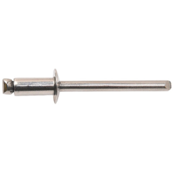 Rivet Gorivet Inox A2 TRS