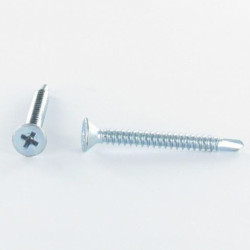 Vis autoperceuse acier Goscrew TF DIN 7504-P