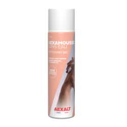 Nettoyant main sec handaex aérosol 210 ml
