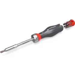 Tournevis PROTWIST à cliquet + 15 embouts de vissage (FE / PH / PZ / 6 pans / Tamper Torx)